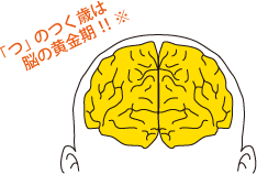 脳の黄金期イメージ