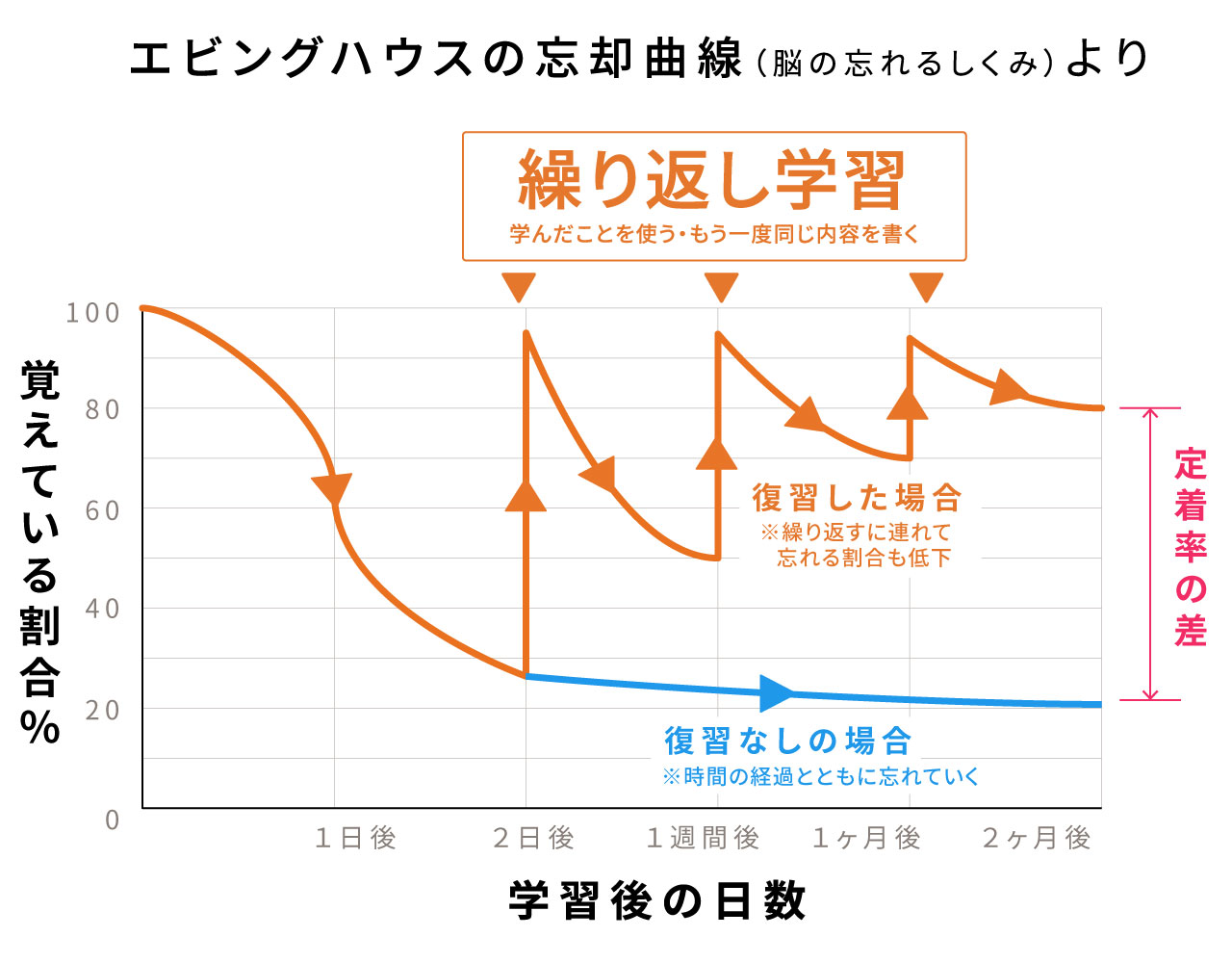 エビングハウス忘却曲線」から分かる効率的な復習のタイミングとは？ | マナブレイン